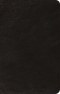 ESV Bible with Creeds and Confessions (Top Grain Leather, Black)