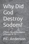 Why Did God Destroy Sodom?: A Rubric-Based Investigation of Genesis 18-19