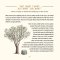 A Year of Bible Stories and Prayers: A Treasury of 96 Best-Loved Stories From God's Word