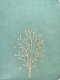 The Message Wide Margin Bible (Leather-Look, Sage Tree)