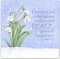 Snowdrops (Pack of 5) Christian Christmas Cards