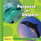 Porpoise Or Dolphin