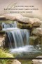 Bulletin-Baptized Into Christ (Galatians 3:27 NIV) (Pack Of 100)(out of print)