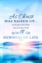 Bulletin-Walk In Newness Of Life (Romans 6:4) (Pack Of 100)