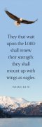 Bookmark-They That Wait Upon The Lord (Isaiah 40:31) (Pack Of 25)