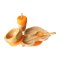 Bamboo Car Plate - Weaning Gift Set - Orange