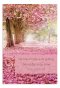 Birthday - Pretty Pinks - 12 Boxed Cards