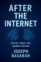 After the Internet: Notes from the Human Future