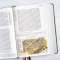 CSB Baker Illustrated Study Bible, Charcoal