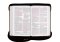 ESV Thinline Bible, Red Letter (TruTone, Brown, Royal Lion Design)