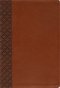 Amplified Holy Bible, Large Print, Leathersoft, Brown