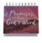 Promises from God's Word Perpetual Calendar