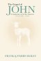The Gospel of John A Commentary on the New Testament Volume 2