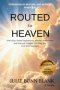 Routed to Heaven : How Near-Death Experiences, Afterlife Testimonies And Heavenly Insights Can Help You Live With Intention