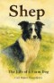 Shep: The Life of a Farm Dog