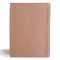 CSB Study Bible, Personal Size Edition, Rose Gold