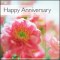 Happy Anniversary ****