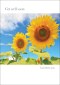 Get Well Soon