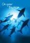 On Your Baptism - Whales (Adult)-Standard Card