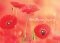 With Deepest Sympathy - Poppies