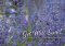 Get Well Soon - Lavender Std Card Gloss (6 Pack)