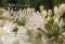 With Love On Your Wedding Day - White Flowers Std Card Gloss (6 Pack)