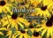 Just To Say Thank You - Floral