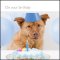 On Your Birthday (M) ****