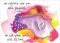 He Rejoices Over You - Lesley Hollingworth