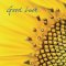 Good Luck Sunflowers