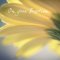 On Your Baptism(Yellow Flowers)