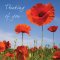 Thinking Of You (Poppy)