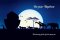 On Your Baptism - Noah Silhouette FoilGloss Std