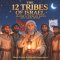 The 12 Tribes of Israel: Jacob's Twelve Sons and Their Tribes