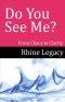 Do You See Me?: From Chaos to Clarity: From Chaos to