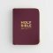 NIV Pocket Mulberry Bible with Gold Zip