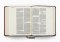 ESV Journaling Bible (TruTone, Brown/Tan, Timeless Design)