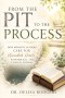 From the Pit to the Process: How Ministry Leaders Care for Wounded Hearts With Biblical and Clinical Wisdom