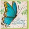 Butterfly Birthday Card