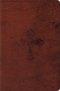 ESV Compact Bible (TruTone, Walnut, Weathered Cross Design)