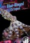 Blue-ringed Octopus