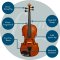 Forenza Prima 2 Violin Outfit - 1/4 size