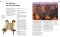 Lion Handbook to the Bible