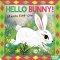 Hello Bunny!