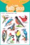 God's Beautiful Birds
