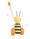 Honey Bee Boxed Push Along (FSC®)