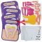 Human Tooth Anatomy Kits (Pack of 4)