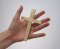 Small Palm Crosses - Pack of 50