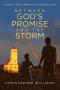 Between God's Promise and the Storm: A Novel of Faith, Fatherhood, and the God Who Stays