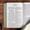 NASB Giant Print Reference Bible, Olive, Indexed